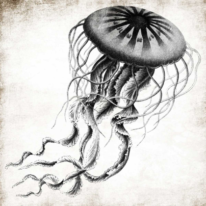 Picture of JELLYFISH INK