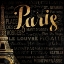 Picture of THE LEFT SIDE OF PARIS
