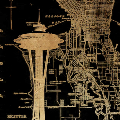 Picture of NEEDLE MAP