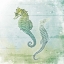 Picture of SEA FOAM SEAHORSE