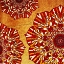 Picture of FIRE FLOWERS