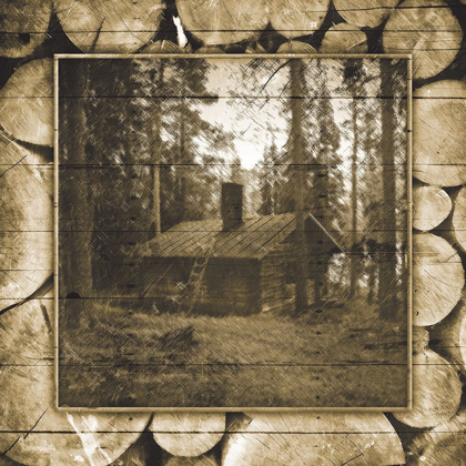 Picture of IN THE WOODS SEPIA