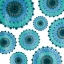 Picture of PEACOCK CIRCLES