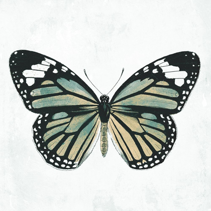 Picture of NEUTRAL BUTTERFLY
