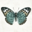 Picture of NEUTRAL BUTTERFLY 2