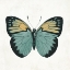 Picture of NEUTRAL BUTTERFLY 3