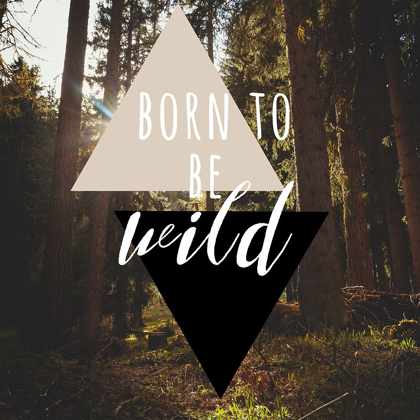 Picture of BORN TO BE WILD 38