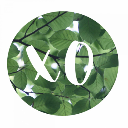 Picture of XO LEAVES
