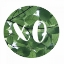 Picture of XO LEAVES