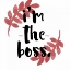 Picture of IM THE BOSS