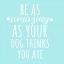 Picture of BE AMAZING DOG BLUE