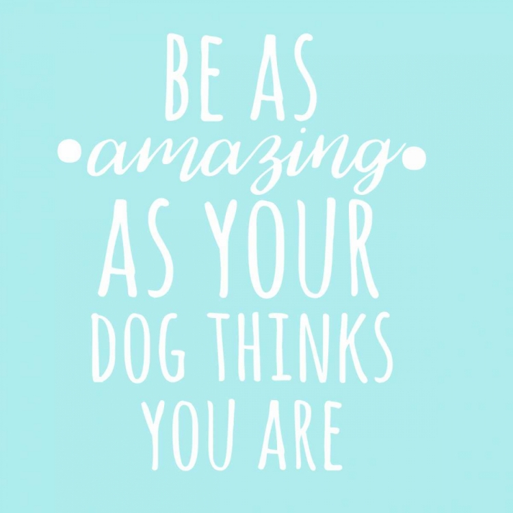 Picture of BE AMAZING DOG BLUE