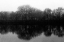 Picture of ENTRAL PARK AS ABOVE SO BELOW