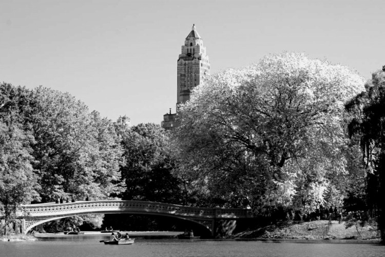 Picture of CIRCULAR CENTRAL PARK BRIDGE