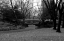 Picture of CENTRAL PARK BRIDGE 3