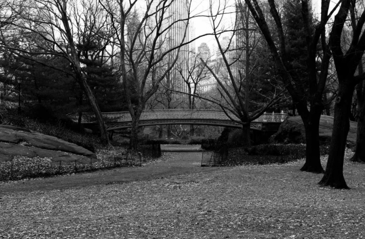 Picture of CENTRAL PARK BRIDGE 3