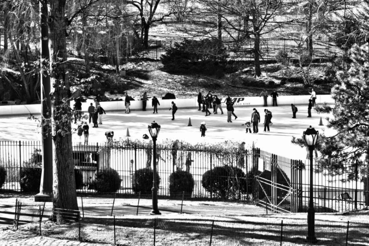 Picture of CENTRAL PARK SKATING