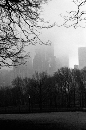 Picture of CENTRAL PARK A