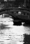 Picture of VENICE 62
