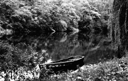 Picture of CENTRAL PARK ROWBOAT