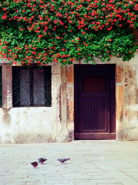 Picture of VENICE FLORAL OVERHANG