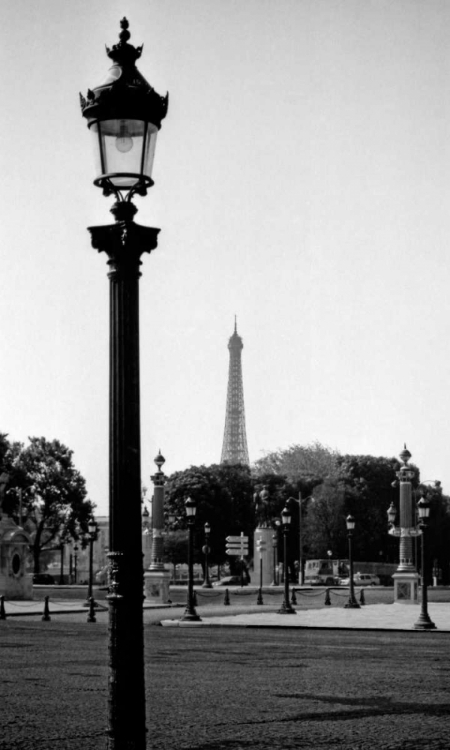 Picture of EIFEL TOWER 3
