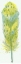 Picture of FEATHER BRIGHT 3