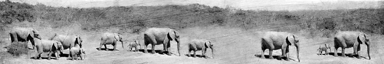 Picture of TRAVELING FAMILY BNW