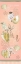 Picture of CHERRY BLOSSOM AND SHELLS