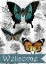 Picture of WELCOME BUTTERFLIES