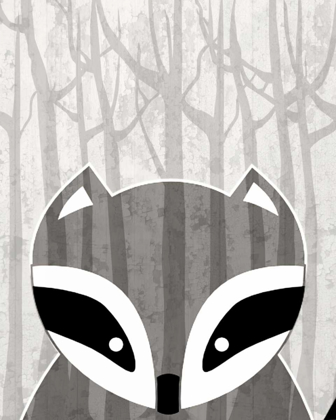 Picture of WOODLAND RACOON