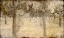 Picture of VINEYARD