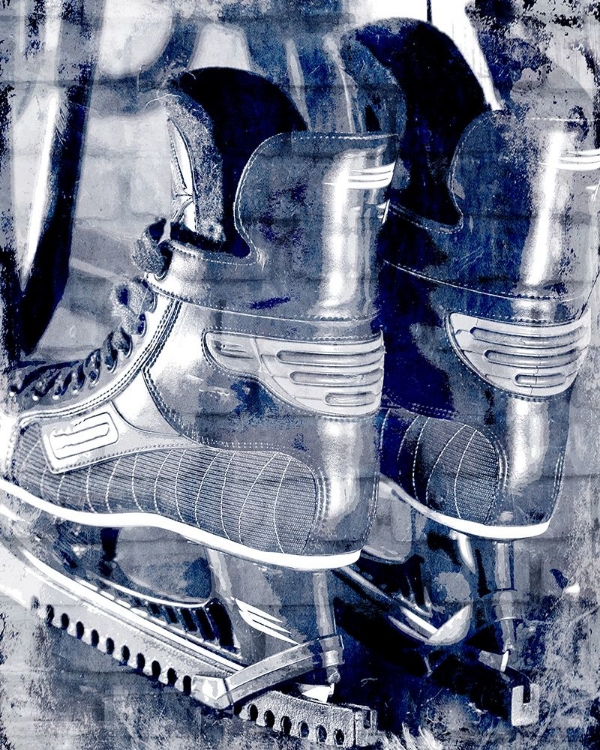 Picture of SKATES