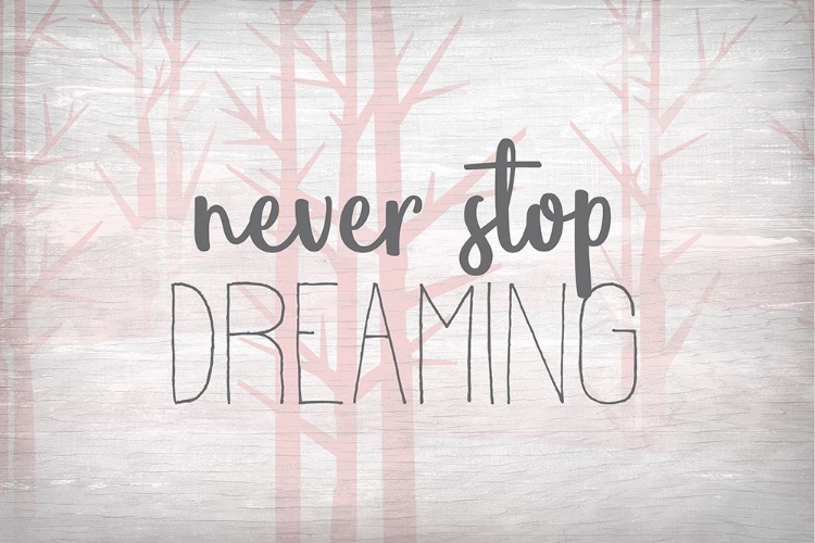 Picture of NEVER STOP DREAMING PINK