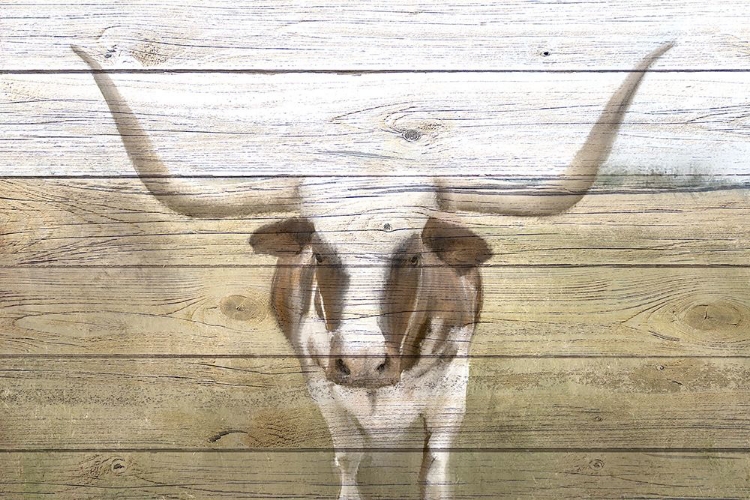 Picture of LONGHORN