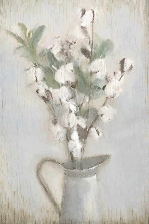 Picture of COTTON BOUQUET