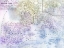 Picture of WATERCOLOR MAP 2