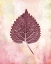 Picture of BURGUNDY LEAF 2