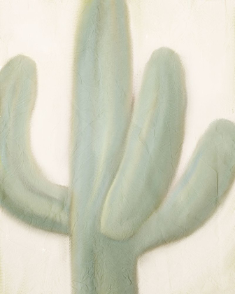 Picture of SAGE CACTUS 1