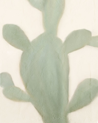 Picture of SAGE CACTUS 2