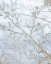 Picture of GILDED BRANCH 2