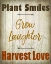 Picture of PLANT