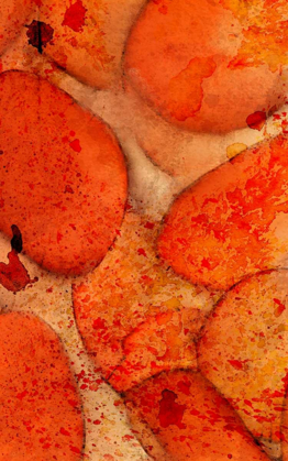 Picture of ORANGE DAY A