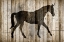 Picture of BARNWOOD HORSE