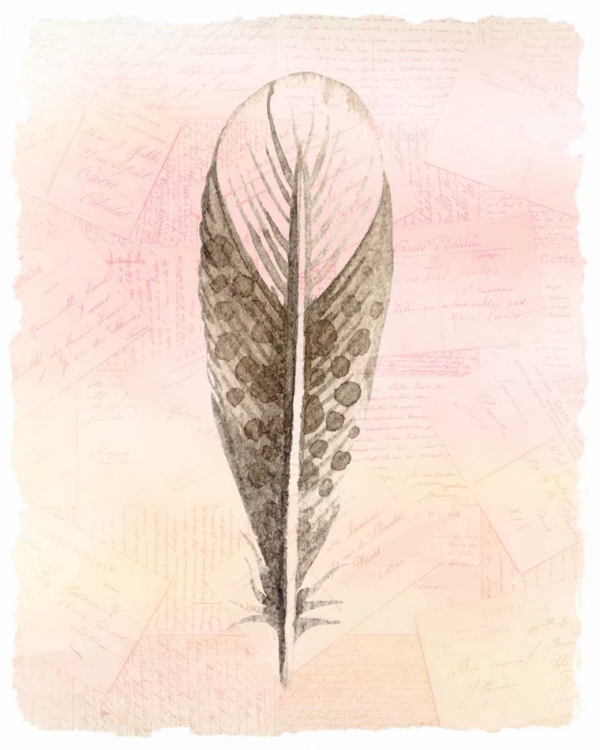 Picture of SPRING FEATHER 3