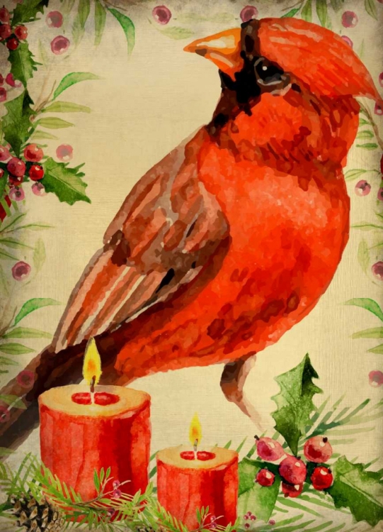 Picture of CHRISTMAS CARDINAL