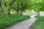 Picture of ALONG THE PATH