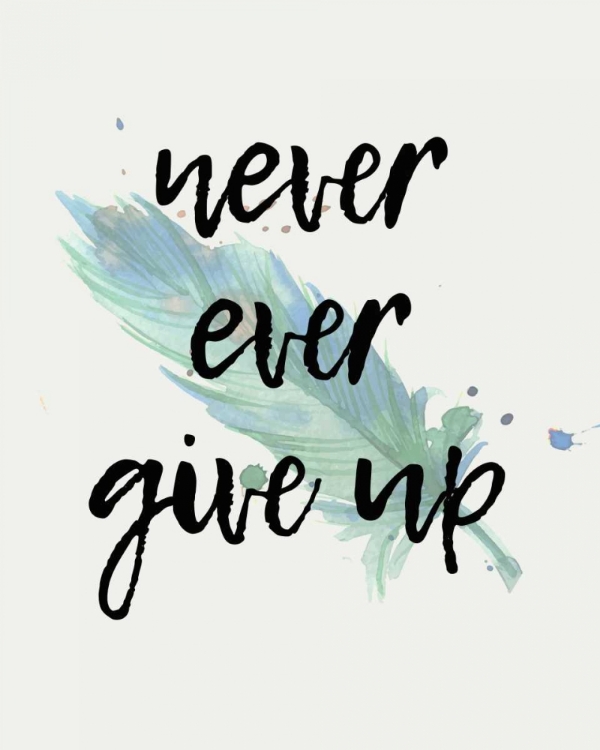 Picture of NEVER GIVE UP