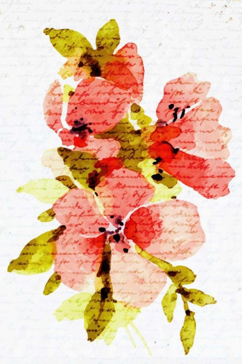 Picture of WATERCOLOR FLORAL 2