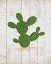 Picture of CACTUS 1